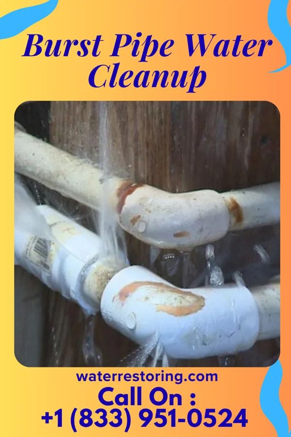 Burst Pipe Water Cleanup in Feasterville, PA