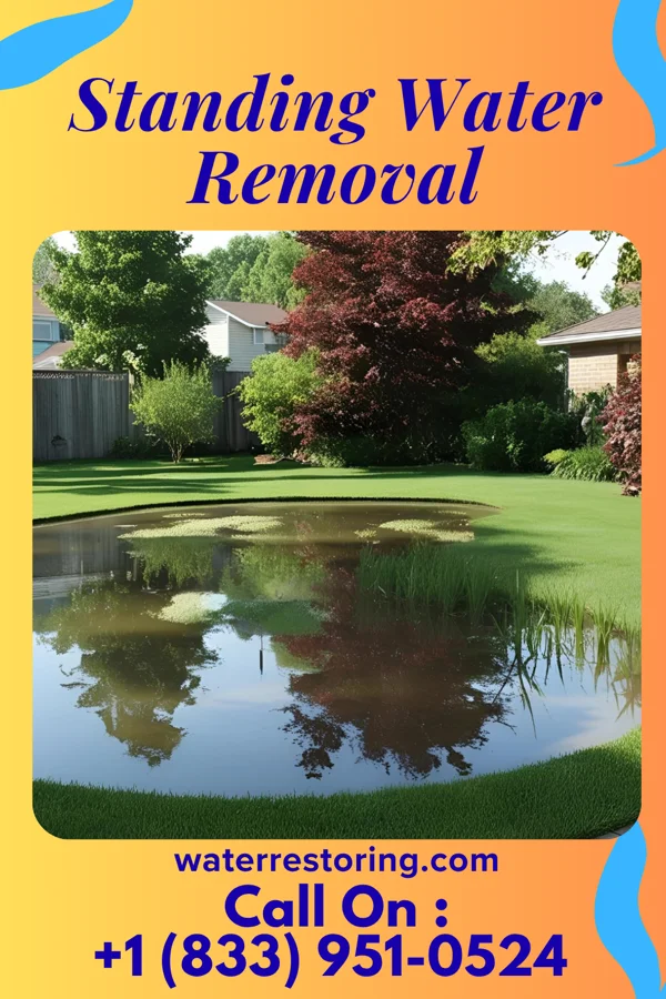 Standing Water Removal in Feasterville, PA